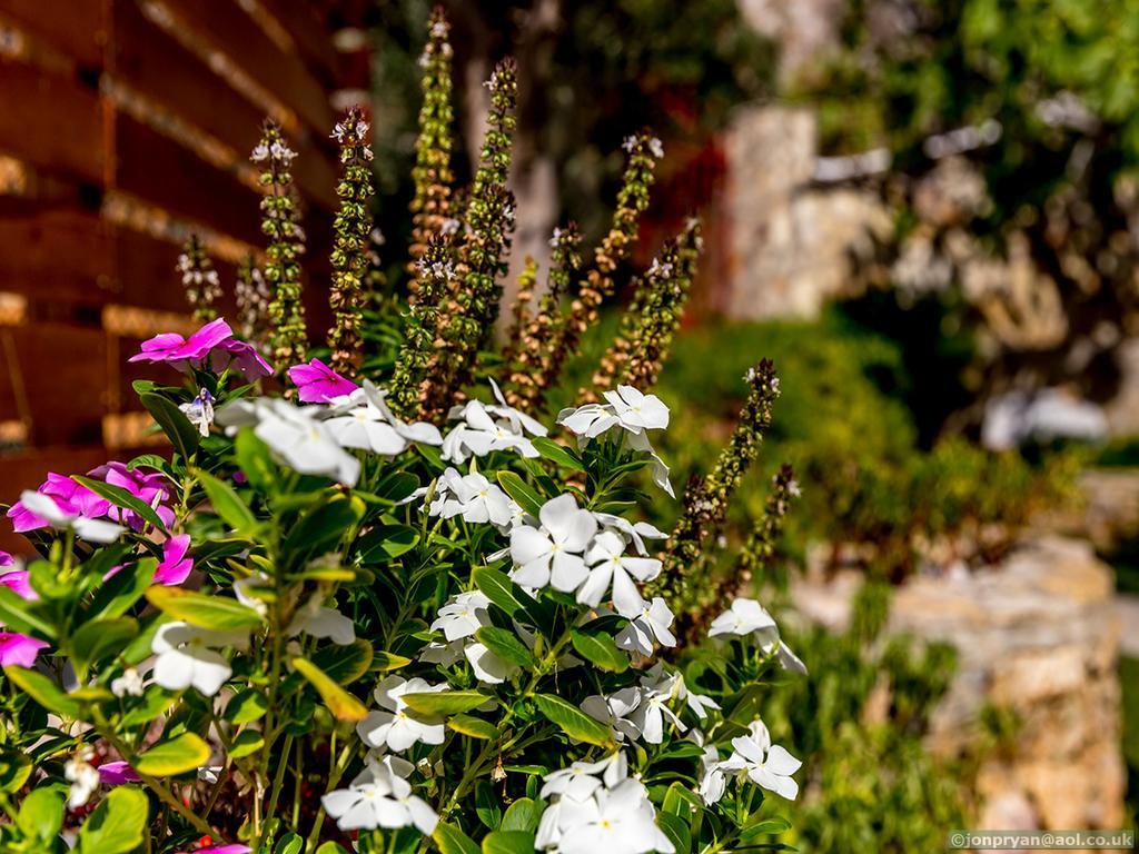 Fotinis Cottage Simi Dış mekan fotoğraf